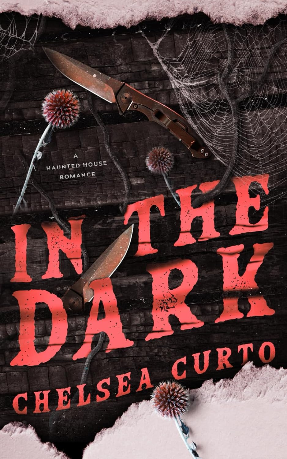 In the Dark (SIGNED) by Chelsea Curto