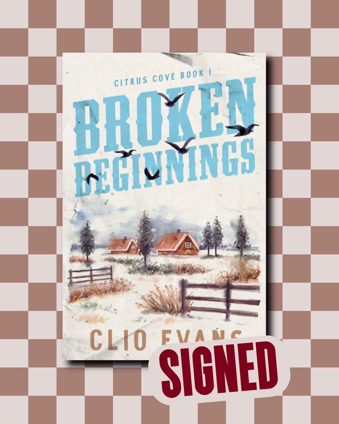 Broken Beginnings (Citrus Cove #1) (SIGNED) by Clio Evans