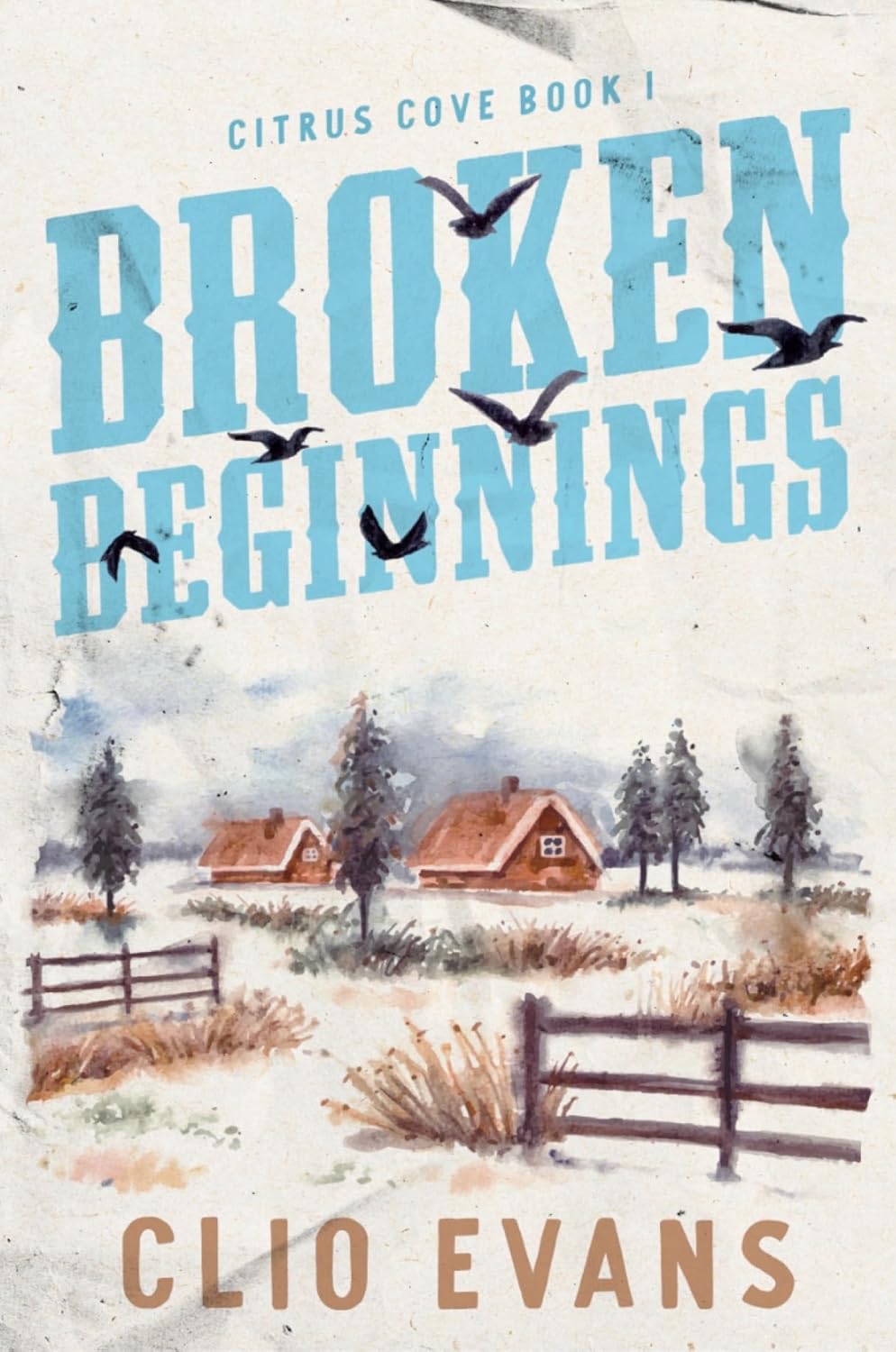 Broken Beginnings (Citrus Cove #1) by Clio Evans
