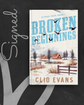 Broken Beginnings (Citrus Cove #1) (SIGNED) by Clio Evans