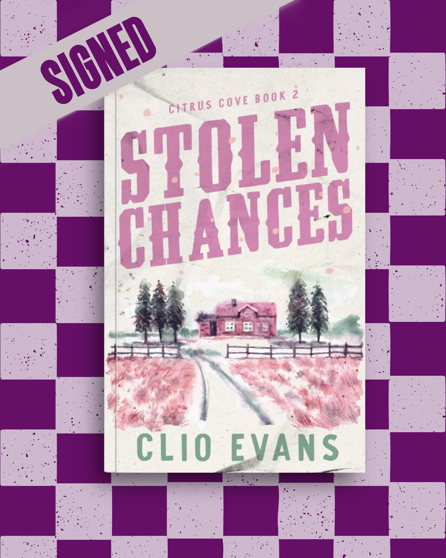 Stolen Chances (Citrus Cove #2) (SIGNED) by Clio Evans