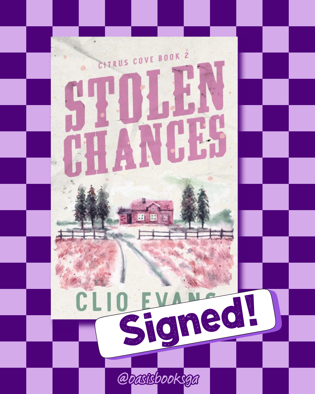 Stolen Chances (Citrus Cove #2) by Clio Evans